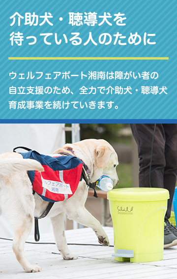 ウェルフェアポート湘南 特定非営利活動法人ウェルフェアポート湘南 神奈川介助犬聴導犬協会 では介助犬 聴導犬 セラピー犬の育成を行なっています 神奈川県 第二種社会福祉事業 事業所